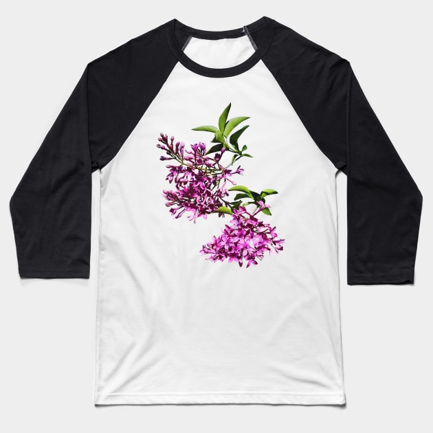 Pink Lilacs and Leaves Baseball T-Shirt by SusanSavad